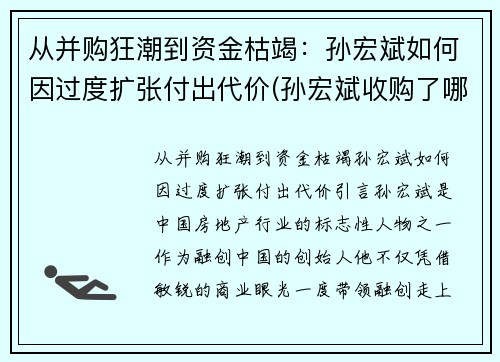 从并购狂潮到资金枯竭：孙宏斌如何因过度扩张付出代价(孙宏斌收购了哪些)